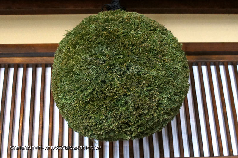 できたてホヤホヤの杉玉（杉林）直径30センチ